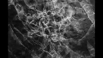 Free download COVID-19 Abyss Of The Birds video and edit with RedcoolMedia movie maker MovieStudio video editor online and AudioStudio audio editor onlin