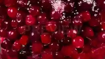 Free download Cranberries Stock Video video and edit with RedcoolMedia movie maker MovieStudio video editor online and AudioStudio audio editor onlin
