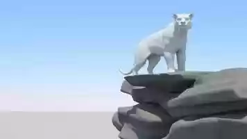 Free download Creature animation study. Tiger. video and edit with RedcoolMedia movie maker MovieStudio video editor online and AudioStudio audio editor onlin