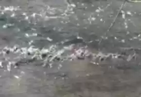 Free download Creek In Winter 7 video and edit with RedcoolMedia movie maker MovieStudio video editor online and AudioStudio audio editor onlin