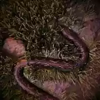 Free download Creeping Snake | My Houdini Junk series Vol.02 video and edit with RedcoolMedia movie maker MovieStudio video editor online and AudioStudio audio editor onlin