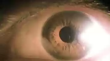 Free download CRISALIDA TRAILER 2019ok video and edit with RedcoolMedia movie maker MovieStudio video editor online and AudioStudio audio editor onlin