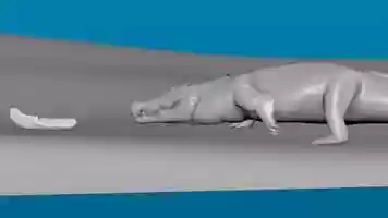 Free download Crocodile Test Animation video and edit with RedcoolMedia movie maker MovieStudio video editor online and AudioStudio audio editor onlin