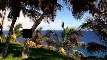 Free download cruise ship passengers video- Jamaica Action Routes video and edit with RedcoolMedia movie maker MovieStudio video editor online and AudioStudio audio editor onlin