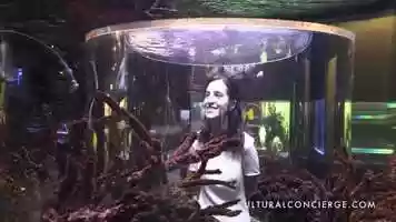 Free download Cultural Concierge - Science Center and Aquarium video and edit with RedcoolMedia movie maker MovieStudio video editor online and AudioStudio audio editor onlin