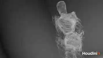 Free download Curl Noise Animation in Houdini video and edit with RedcoolMedia movie maker MovieStudio video editor online and AudioStudio audio editor onlin