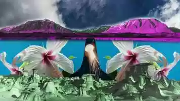 Free download Curse the Road video and edit with RedcoolMedia movie maker MovieStudio video editor online and AudioStudio audio editor onlin