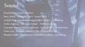 Free download Cutout Animation video and edit with RedcoolMedia movie maker MovieStudio video editor online and AudioStudio audio editor onlin