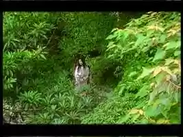 Free download 趙詠華 Cyndi Chao【最浪漫的事 The most romantic thing】Official Music Video video and edit with RedcoolMedia movie maker MovieStudio video editor online and AudioStudio audio editor onlin