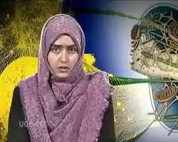 Free download Cytoskeleton and Cell Movement-BT534 video and edit with RedcoolMedia movie maker MovieStudio video editor online and AudioStudio audio editor onlin