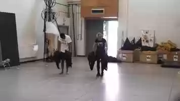 Free download D06 HBird Movement  Puppetry 02 video and edit with RedcoolMedia movie maker MovieStudio video editor online and AudioStudio audio editor onlin