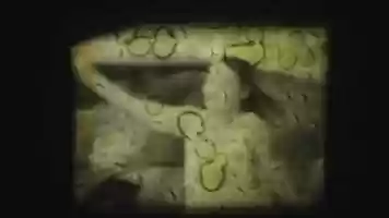 Free download Dance with the lights of the dawn video and edit with RedcoolMedia movie maker MovieStudio video editor online and AudioStudio audio editor onlin