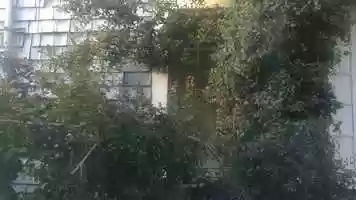 Free download Daniela_Roldan_Project1 video and edit with RedcoolMedia movie maker MovieStudio video editor online and AudioStudio audio editor onlin