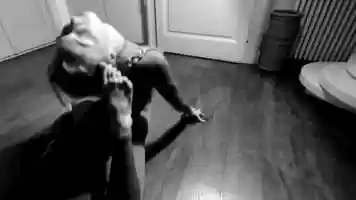 Free download Dark and light video and edit with RedcoolMedia movie maker MovieStudio video editor online and AudioStudio audio editor onlin