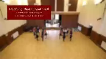 Free download Dashing Red Blood Cell video and edit with RedcoolMedia movie maker MovieStudio video editor online and AudioStudio audio editor onlin