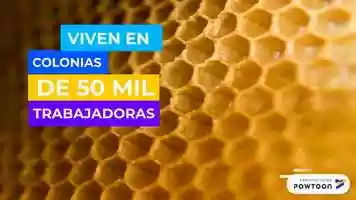 Free download Datos curiosos abejas video and edit with RedcoolMedia movie maker MovieStudio video editor online and AudioStudio audio editor onlin