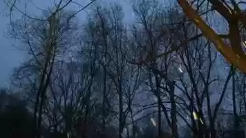 Free download Dawn Peace video and edit with RedcoolMedia movie maker MovieStudio video editor online and AudioStudio audio editor onlin