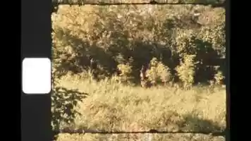 Free download Daydream Channel/Blueberry Song video and edit with RedcoolMedia movie maker MovieStudio video editor online and AudioStudio audio editor onlin