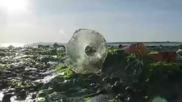 Free download Dead Horse Bay Documentary video and edit with RedcoolMedia movie maker MovieStudio video editor online and AudioStudio audio editor onlin