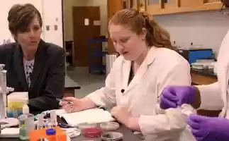 Free download Dean Moffitt checks in on the Health Sciences Labs (POV) video and edit with RedcoolMedia movie maker MovieStudio video editor online and AudioStudio audio editor onlin