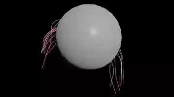 Free download Deep learning in Houdini Hair Curve video and edit with RedcoolMedia movie maker MovieStudio video editor online and AudioStudio audio editor onlin