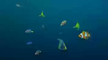 Free download Demo reel Animacion febrero 2020 video and edit with RedcoolMedia movie maker MovieStudio video editor online and AudioStudio audio editor onlin