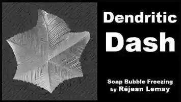 Free download Dendritic Dash video and edit with RedcoolMedia movie maker MovieStudio video editor online and AudioStudio audio editor onlin