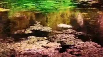 Free download Deregulation and the Dangers of Flaring video and edit with RedcoolMedia movie maker MovieStudio video editor online and AudioStudio audio editor onlin