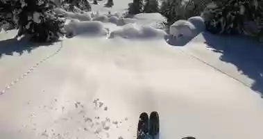 Free download Der Tiroler und sein Piefke trailer video and edit with RedcoolMedia movie maker MovieStudio video editor online and AudioStudio audio editor onlin