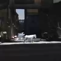 Free download Describe your last trip outside video and edit with RedcoolMedia movie maker MovieStudio video editor online and AudioStudio audio editor onlin