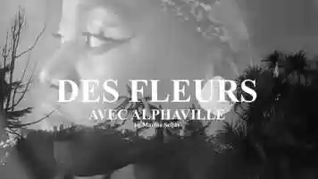 Free download DES FLEURS AVEC ALPHAVILLE. by Marina Seijas video and edit with RedcoolMedia movie maker MovieStudio video editor online and AudioStudio audio editor onlin