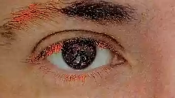 Free download Despite everything / Teaser video and edit with RedcoolMedia movie maker MovieStudio video editor online and AudioStudio audio editor onlin