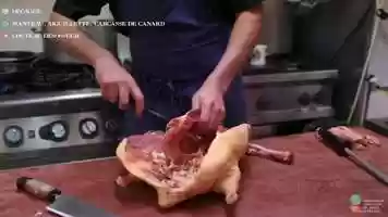 Free download DGAGER / Boucher-charcutier-traiteur, SARL Gros (82) / 481686384 video and edit with RedcoolMedia movie maker MovieStudio video editor online and AudioStudio audio editor onlin