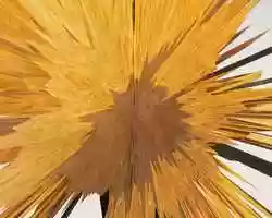 Free download DH_KENTA ANIMATION_BOMBER video and edit with RedcoolMedia movie maker MovieStudio video editor online and AudioStudio audio editor onlin