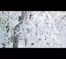 Free download Dialogue with Snow video and edit with RedcoolMedia movie maker MovieStudio video editor online and AudioStudio audio editor onlin