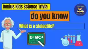 Free download didyouknow4-stalacite.mp4 video and edit with RedcoolMedia movie maker MovieStudio video editor online and AudioStudio audio editor onlin