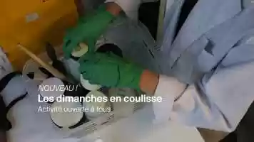 Free download Dimanches en coulisse #1 video and edit with RedcoolMedia movie maker MovieStudio video editor online and AudioStudio audio editor onlin