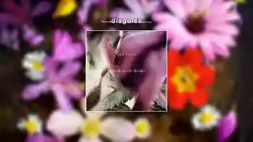 Free download disguise video and edit with RedcoolMedia movie maker MovieStudio video editor online and AudioStudio audio editor onlin