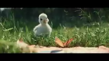 Free download Disney - The Little Duck video and edit with RedcoolMedia MovieStudio video editor online and AudioStudio audio editor onlin