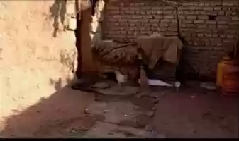 Free download Documentary Film - THE SHARE OF THE IMMIGRANT video and edit with RedcoolMedia movie maker MovieStudio video editor online and AudioStudio audio editor onlin