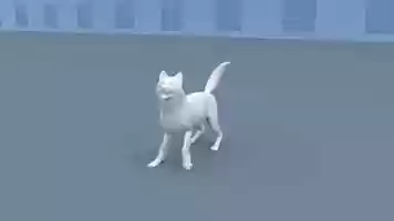 Free download Dog Fetch video and edit with RedcoolMedia movie maker MovieStudio video editor online and AudioStudio audio editor onlin