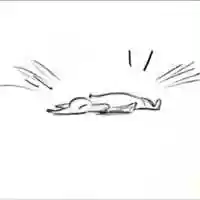 Free download Doggo! Oups! video and edit with RedcoolMedia movie maker MovieStudio video editor online and AudioStudio audio editor onlin