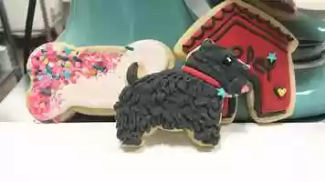 Free download Dog Themed Sugar Cookie Designs video and edit with RedcoolMedia movie maker MovieStudio video editor online and AudioStudio audio editor onlin