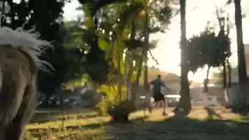 Free download Dog walking in park video and edit with RedcoolMedia movie maker MovieStudio video editor online and AudioStudio audio editor onlin