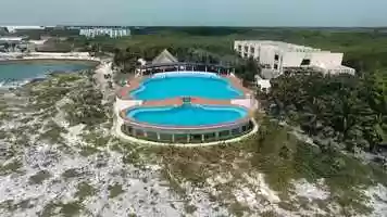 Free download Dolphin Swim Akumal video and edit with RedcoolMedia movie maker MovieStudio video editor online and AudioStudio audio editor onlin