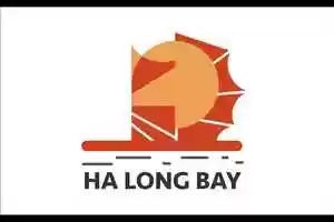 Free download doninhtrang_258100_13527672_Do,Ninh Trang_Project 3_Animation video and edit with RedcoolMedia movie maker MovieStudio video editor online and AudioStudio audio editor onlin