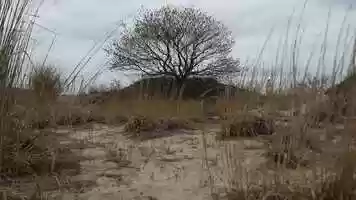 Free download Do not stand at my grave and weep by Mary Elizabeth Frye, featuring Elizabeth Yeoman video and edit with RedcoolMedia movie maker MovieStudio video editor online and AudioStudio audio editor onlin