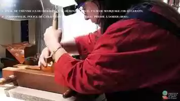 Free download DORER / Relieur, Delphine Dejean (30) / 490275765 video and edit with RedcoolMedia movie maker MovieStudio video editor online and AudioStudio audio editor onlin