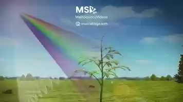 Free download Do you know how the photosynthetic pigment uses light? video and edit with RedcoolMedia movie maker MovieStudio video editor online and AudioStudio audio editor onlin
