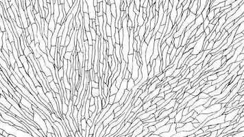 Free download Drawing Movie 2 video and edit with RedcoolMedia movie maker MovieStudio video editor online and AudioStudio audio editor onlin